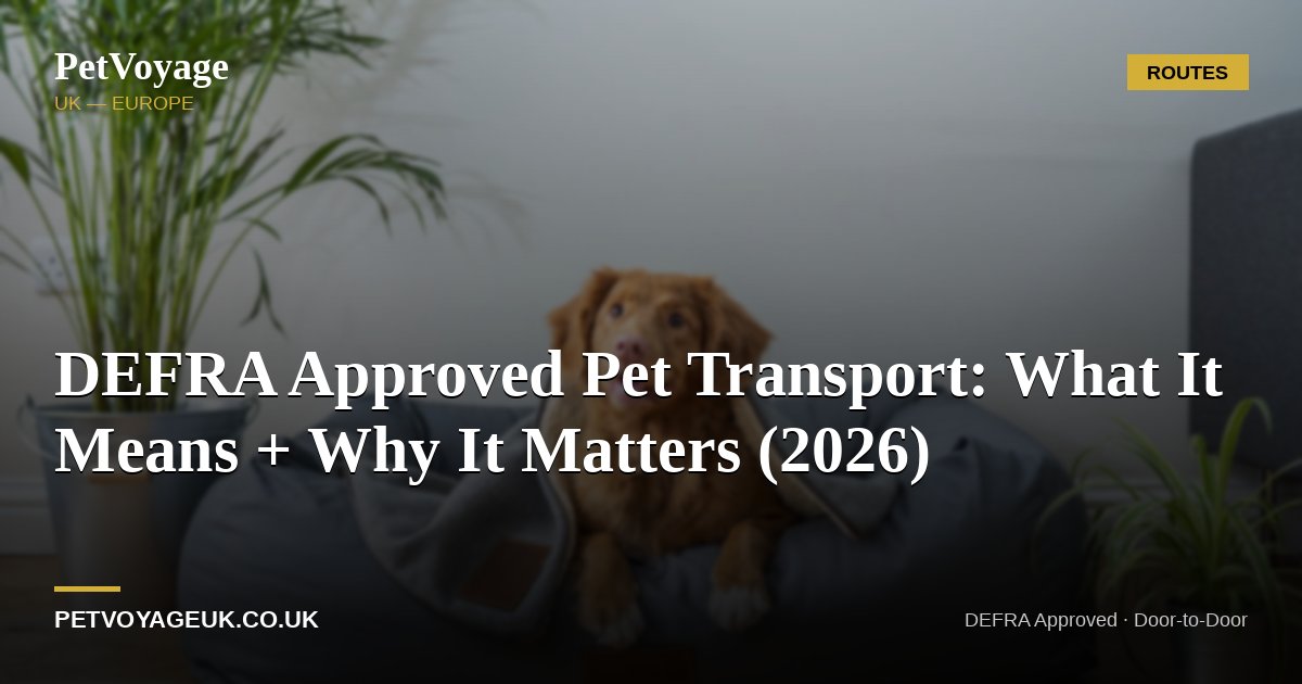 DEFRA Approved Pet Transport: What It Means + Why It Matters